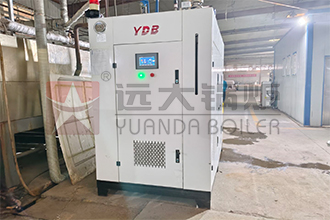 鄭州某地毯集團(tuán)有限公司LSS1-1.0-Q燃?xì)庹羝l(fā)生器